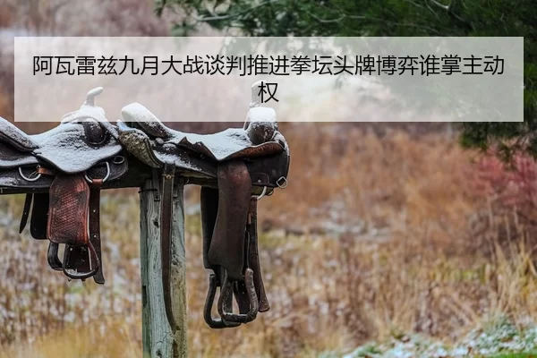阿瓦雷兹九月大战谈判推进拳坛头牌博弈谁掌主动权