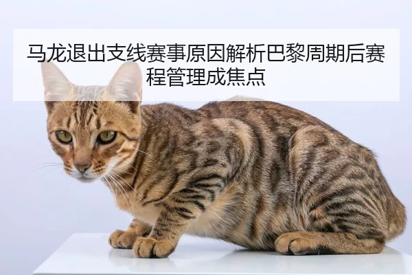 ma-long-tui-chu-zhi-xian-sai-shi-yuan-yin-jie-xi-ba-li-zhou-qi-hou-sai-cheng-guan-li-cheng-jiao-dian-2-944.jpg