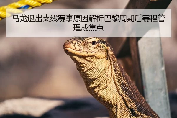 马龙退出支线赛事原因解析巴黎周期后赛程管理成焦点