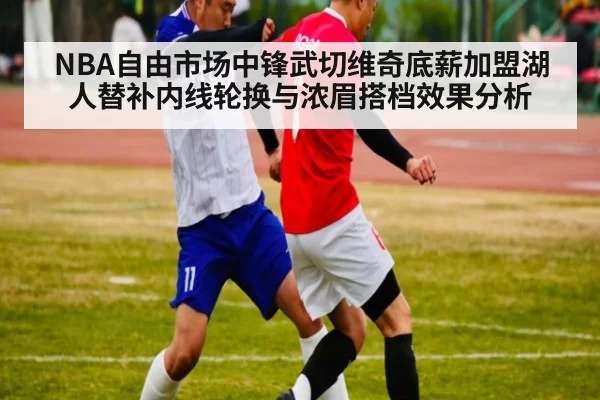 NBA自由市场中锋武切维奇底薪加盟湖人替补内线轮换与浓眉搭档效果分析